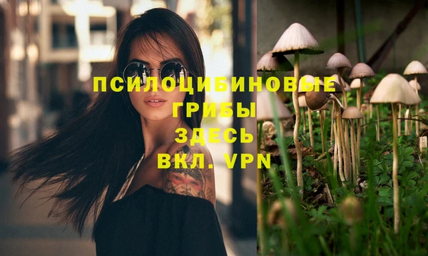 spice Балахна