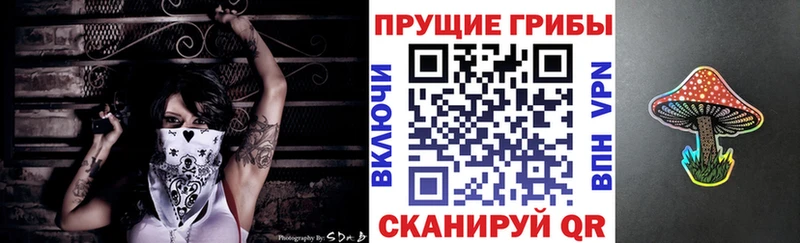 кракен маркетплейс Бугуруслан Псилоцибиновые грибы Psilocybe где можно купить наркотик